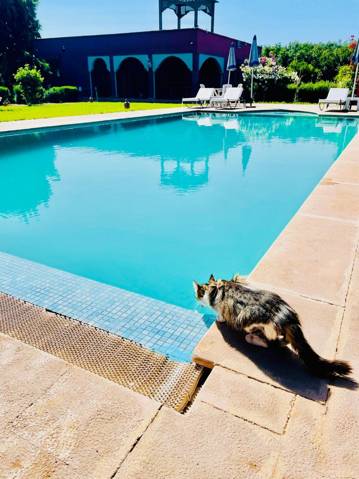 Villa Baddi Marrakech Lagouassem Luaran gambar